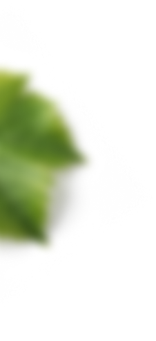 Floating image