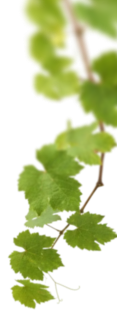 Floating image
